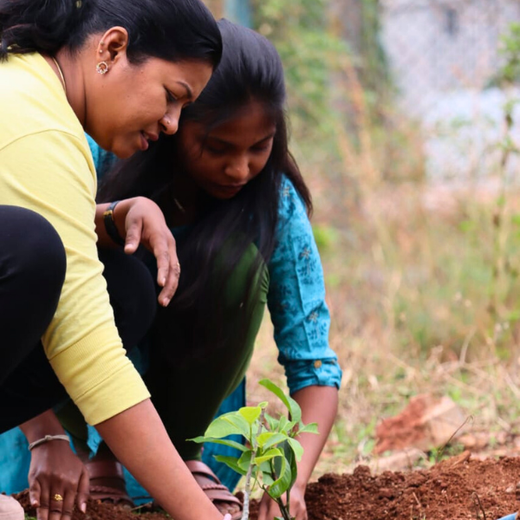 Mr. Lochan M. Leads the Way: A Green Birthday Celebration in Bangalore – Planting