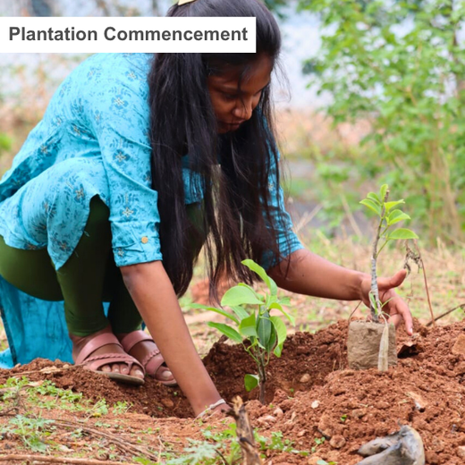 Mr. Lochan M. Leads the Way: A Green Birthday Celebration in Bangalore – Planting