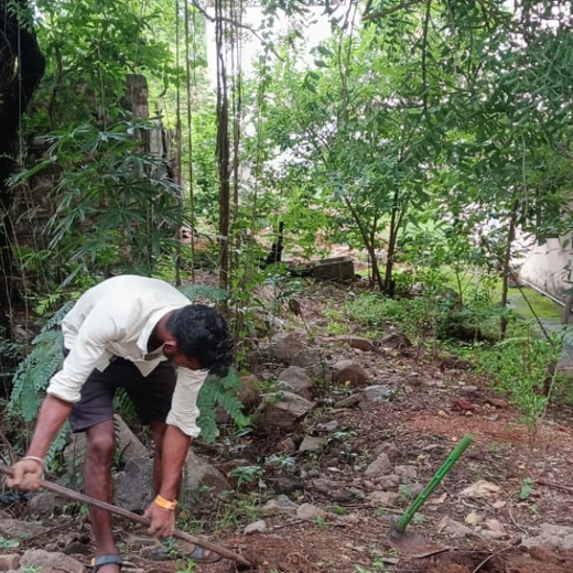 Innovacx Goes Green: Cultivating Trees, Connecting Teams – Planting