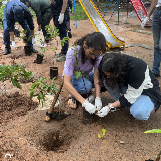 Innovacx Goes Green: Cultivating Trees, Connecting Teams – 6 months