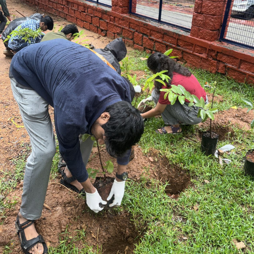Innovacx Goes Green: Cultivating Trees, Connecting Teams – 6 months