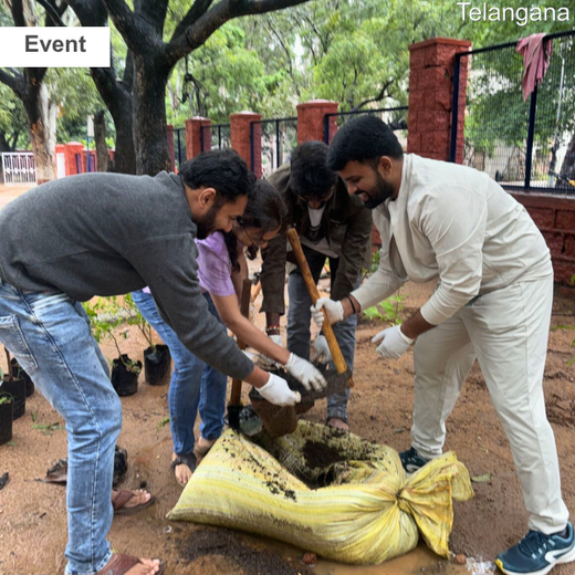 Innovacx Goes Green: Cultivating Trees, Connecting Teams – 6 months