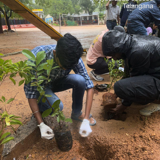 Innovacx Goes Green: Cultivating Trees, Connecting Teams – 6 months