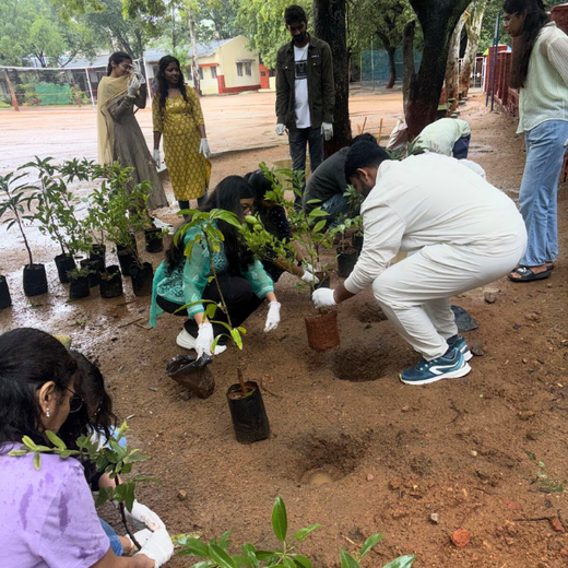 Innovacx Goes Green: Cultivating Trees, Connecting Teams – 6 months