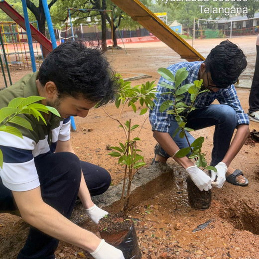Innovacx Goes Green: Cultivating Trees, Connecting Teams – 6 months