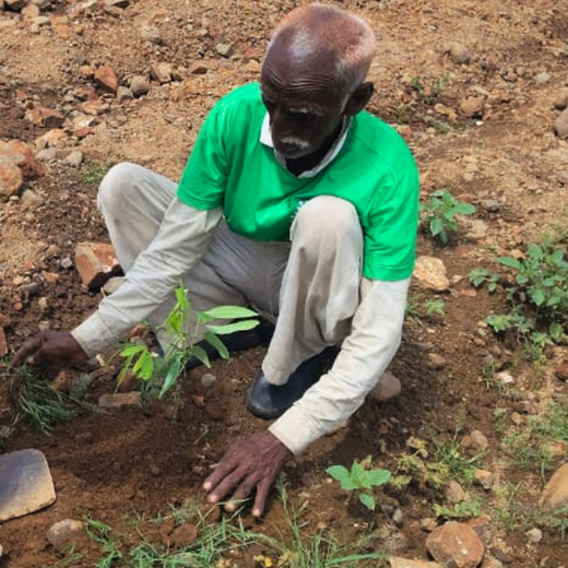 Jewels of Nature: Lucira Jewelry Champions Community Forests – Planting