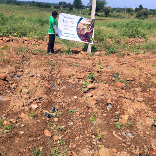 Jewels of Nature: Lucira Jewelry Champions Community Forests – Planting