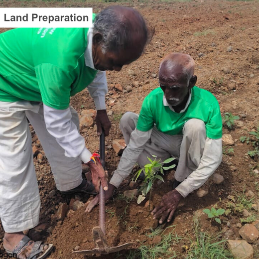 Jewels of Nature: Lucira Jewelry Champions Community Forests – Planting
