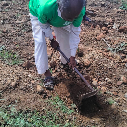 Jewels of Nature: Lucira Jewelry Champions Community Forests – Planting