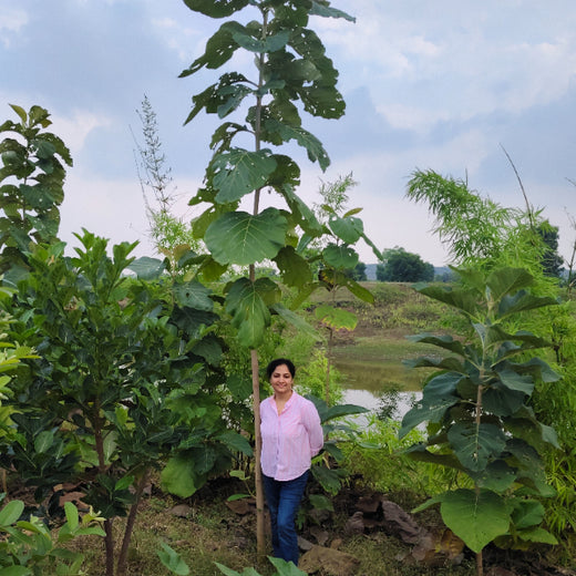 Microforests by Grow Billion Trees: Small Spaces, Big Impact – 6 months