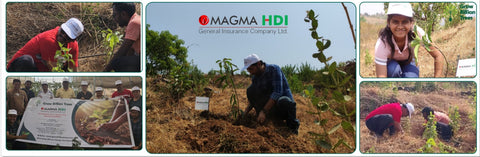 A Greener Future: Magma HDI’s Agroforestry Tree Plantation for Employee Connection