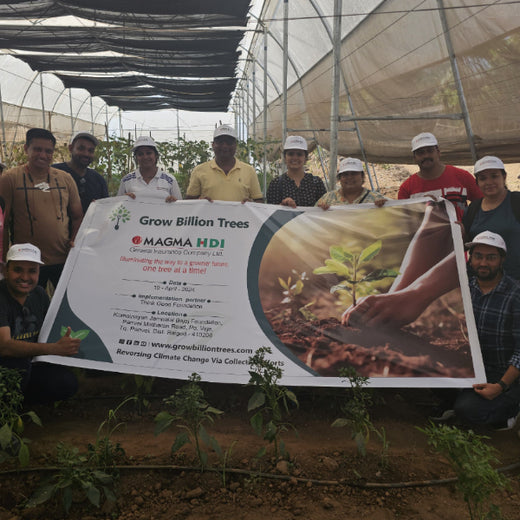 A Greener Future: Magma HDI’s Agroforestry Tree Plantation for Employee Connection – Planting
