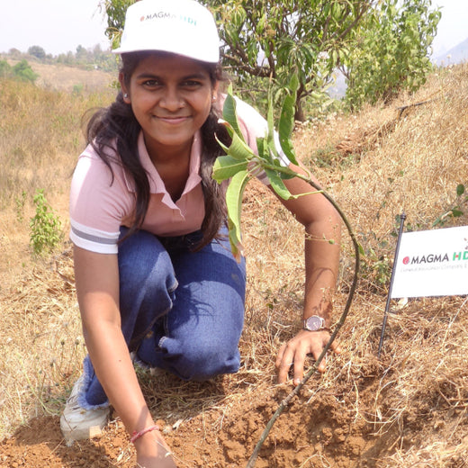 A Greener Future: Magma HDI’s Agroforestry Tree Plantation for Employee Connection – Planting