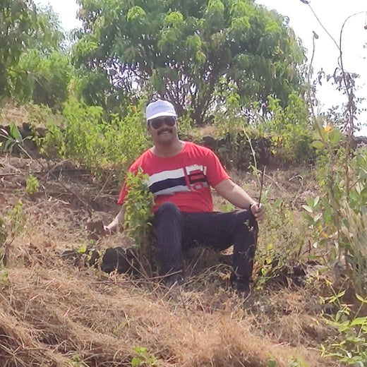 A Greener Future: Magma HDI’s Agroforestry Tree Plantation for Employee Connection – Planting