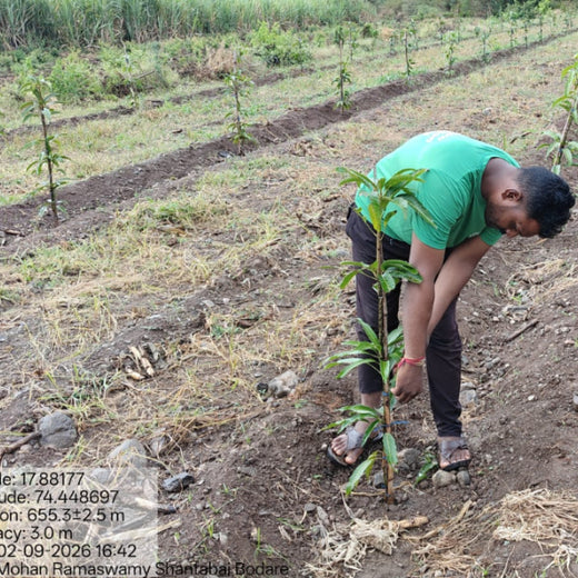 A Birthday Tribute: Mahesh Ramaswamy’s Family Honors His Memory – Planting