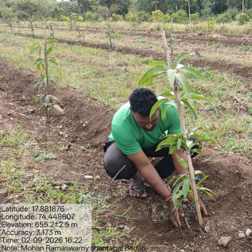 A Birthday Tribute: Mahesh Ramaswamy’s Family Honors His Memory – Planting