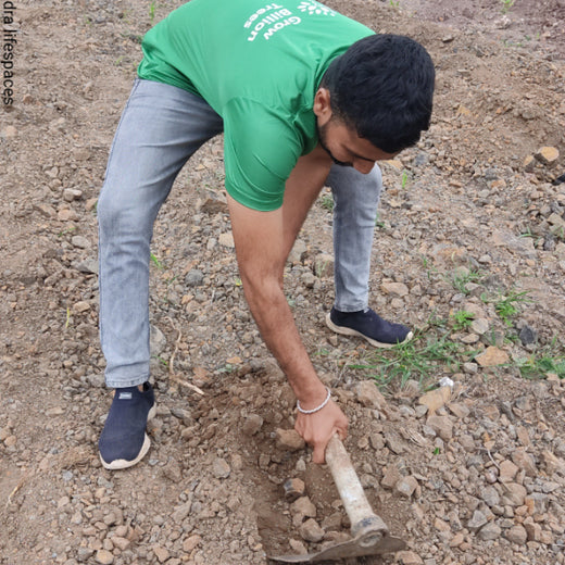 एक पेड़ माँ के नाम: A Greener Tribute by Mahindra Lifespaces – 6 months