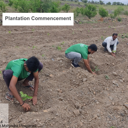 एक पेड़ माँ के नाम: A Greener Tribute by Mahindra Lifespaces – 6 months