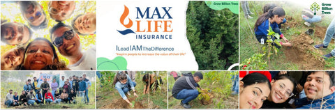 Max Life Insurance's Urban Forest Initiative: A Breath of Fresh Air for Delhi