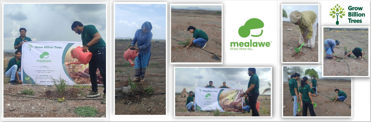 Mealawe’s Eat Well, Plant Well: Every Order Helps Plant a Tree