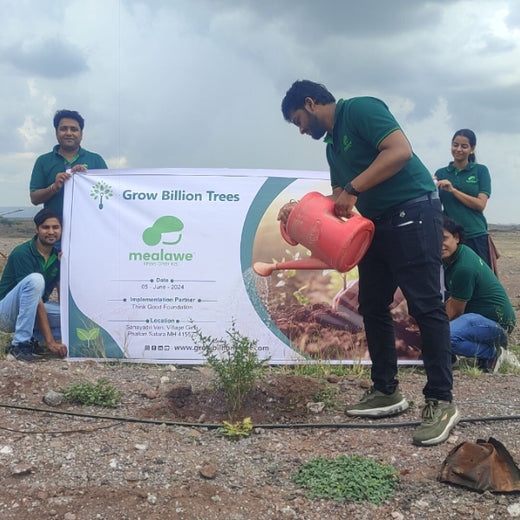 Mealawe’s Eat Well, Plant Well: Every Order Helps Plant a Tree – Planting