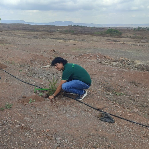 Mealawe’s Eat Well, Plant Well: Every Order Helps Plant a Tree – Planting