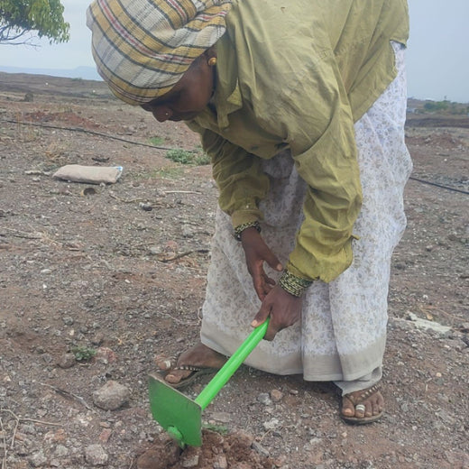 Mealawe’s Eat Well, Plant Well: Every Order Helps Plant a Tree – Planting