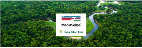 Agroforestry for a Greener Tomorrow: Media Sense’s Tree Plantation Initiative