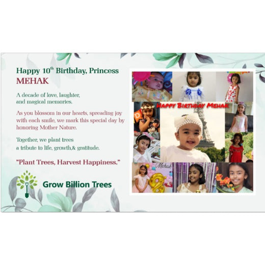 Magic, Love, and a Million Leaves: Celebrating Mehak at 10 – Planting