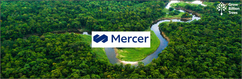 Rooted in Innovation: How Mercer’s Employee Ideas Empower Farmers & Forests