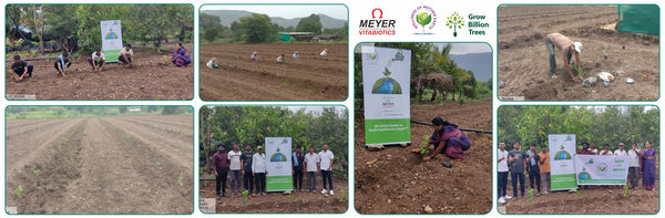 Meyer Organics’ Green Salute: One Tree for Every Life-Saving Hand