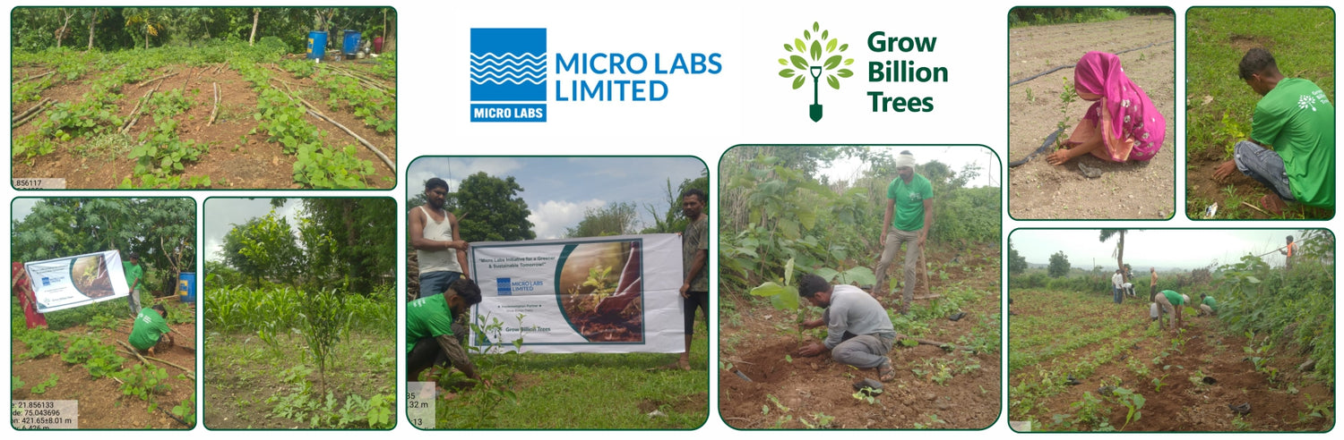 Micro Labs Limited’s World Environment Day Green Drive – Grow Billion Trees