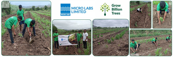 World Environment Day: Green Initiative by Micro Labs Limited