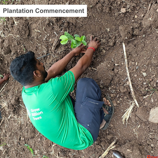 World Environment Day: Green Initiative by Micro Labs Limited – 6 months