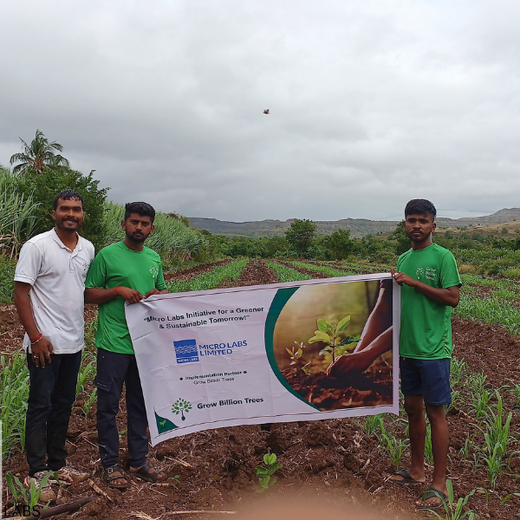 World Environment Day: Green Initiative by Micro Labs Limited – 6 months