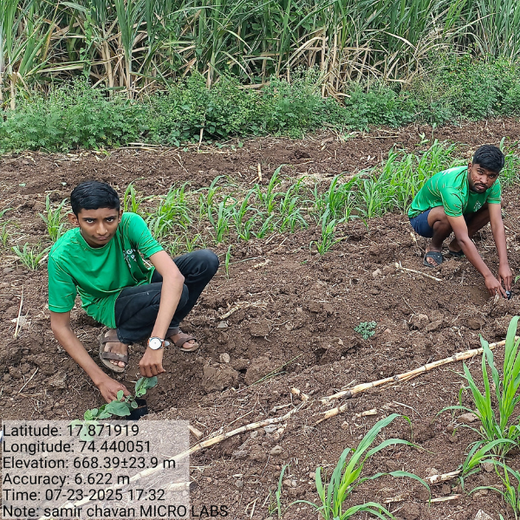 World Environment Day: Green Initiative by Micro Labs Limited – 6 months
