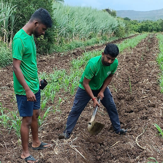 World Environment Day: Green Initiative by Micro Labs Limited – 6 months