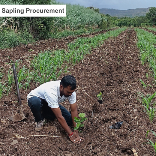 World Environment Day: Green Initiative by Micro Labs Limited – Planting