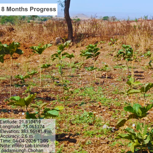 Micro Labs Limited’s World Environment Day Green Drive – 6 months