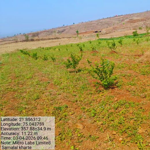 Micro Labs Limited’s World Environment Day Green Drive – 6 months