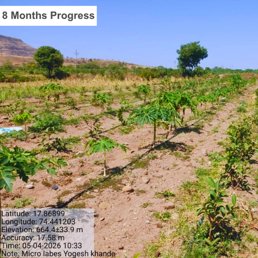 World Environment Day: Green Initiative by Micro Labs Limited – 2 years