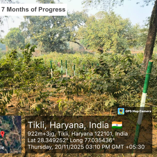 Nature’s Prescription: Miduty’s Earth Day ESG Commitment – 1 year
