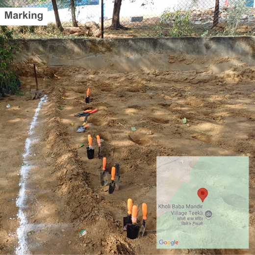 Nature’s Prescription: Miduty’s Earth Day ESG Commitment – Planting