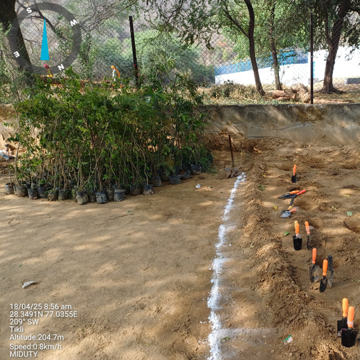 Nature’s Prescription: Miduty’s Earth Day ESG Commitment – Planting