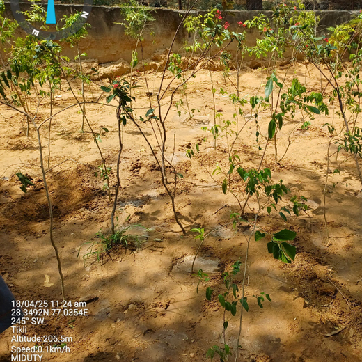 Nature’s Prescription: Miduty’s Earth Day ESG Commitment – 6 months
