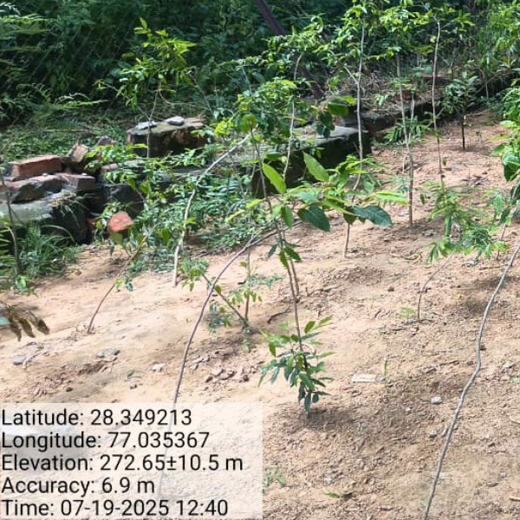 Nature’s Prescription: Miduty’s Earth Day ESG Commitment – 1 year