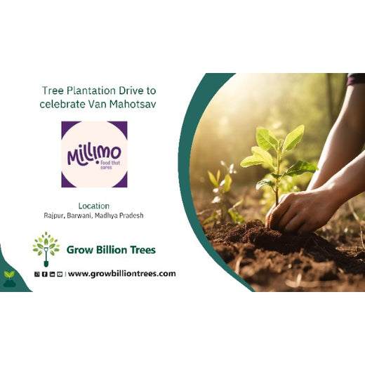 One Order, One Tree: MilliMo's Van Mahotsav Initiative – Planting