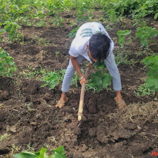 One Order, One Tree: MilliMo's Van Mahotsav Initiative – Planting