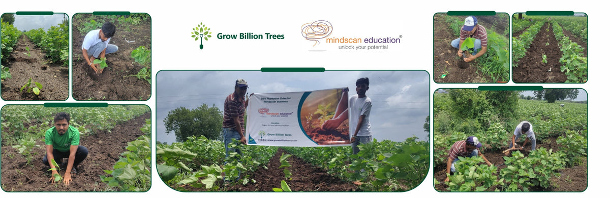 MindScan Education: Empowering Careers, Enriching the Earth