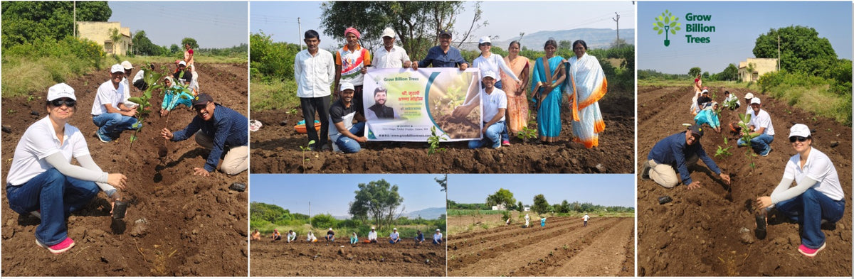 Shri Murlidhar Kisan Mohol’s Birthday Tree Plantation for Maharashtra